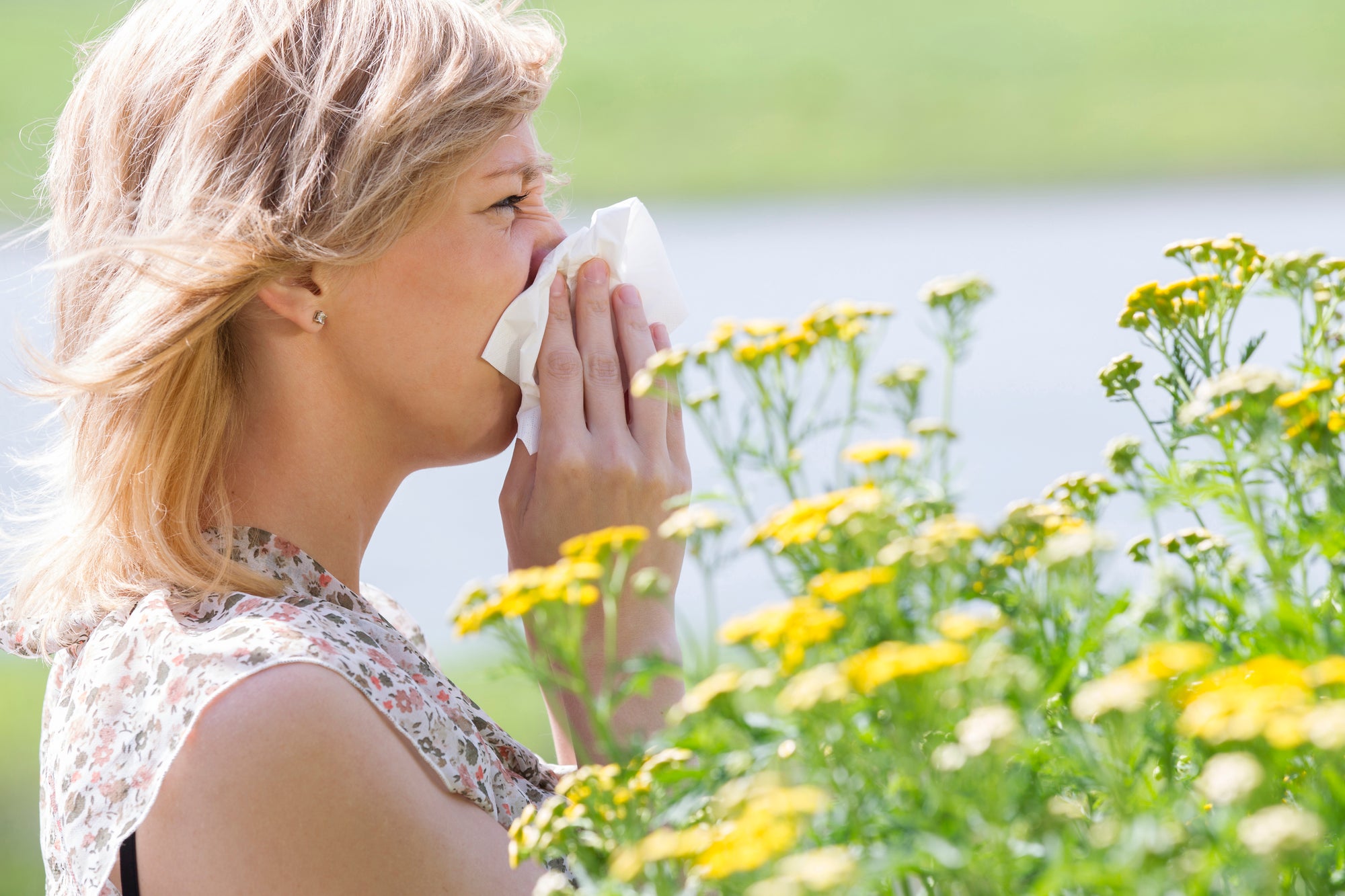 Allergies and Gut Health
